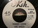 GIRL GROUP OPALS OKEH 7188 TENDER LOVER/DOES IT MATTER