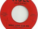 The Avons - Hull 731 - What Love Can Do / On The Island