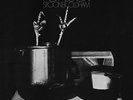 Spooner Oldham - Pot Luck [Vinyl New]