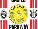 CHUBBY CHECKER  YOU JUST DON'T KNOW / (AT THE) DISCOTHEQUE  OUTTA SIGHT Ltd DEMO