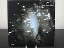 YEAH YEAH YEAHS - IS IS - 2X 7