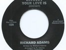 MODERN SOUL / FUNK BOOGIE 45 - RICHARD ADAMS 
