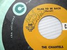 the Chantels AUTOGRAPHED 45 Glad To Be Back b/w Look In My Eyes DOOWOP R&B w3634