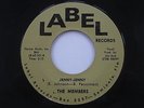 MEMBERS Jenny Jenny Wish I'd Never Met You Label Garage Folk Rock 45 HEAR
