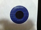 DANNY and the JUNIORS At The Hop ORIINAL Singular 45 R &B SOUL Doo Wop