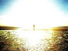 We're Here Because We're Here [VINYL] Anathema Vinyl
