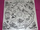 CHRIS ROBINSON BROTHERHOOD / The Black Crowes : The Magic Door (2012) VINYL MINT