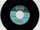 ?   ISLAND SOUL 45 ? Richard Stoute - What Bag I'm In (TREX)  - B 237 ?