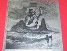 Michael Chapman - Fully qualified survivor -- LP / Rock (Reissue)