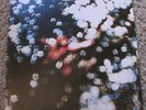 Pink Floyd - Obscured By Clouds - Harvest SW-11078 - OP - NM