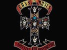 Guns N Roses - Appetite For Destruction 180g vinyl LP NEW/SEALED