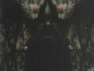 Dimmu Borgir(Green 2x12