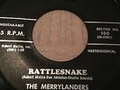 RARE ROCKABILLY TITTYSHAKER 45/ MERRYLANDERS 