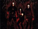 Immortal - Damned In Black LP #11902