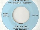 THE PROFONIX Aint No Sun DAVEY PAUL DETROIT MOTOWN NORTHERN SOUL 45