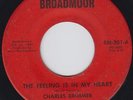 Charles BRIMMER my heart 45 sublime CROSSOVER NORTHERN SOUL sweet soul HEAR ?