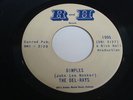 THE DEL-RAYS  Dimples / Fortune  Teller R&H 1005 Orig 1965 Garage/Surf 45