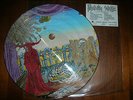 NM  PSYCHOTIC WALTZ -lim.Ed 1500 PICTURE DISC VINYL  A Social Grace RISING SUN