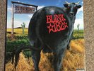 Blink-182 Dude Ranch Hot Topic Splatter Vinyl