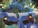 Associates vinyl LP album record Sulk German 24.0005-1 WEA 1982