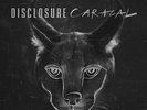 Disclosure - Caracal
