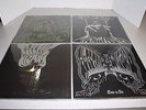 4 ELECTRIC WIZARD LP'S MINT  WE LIVE, WITCHCULT TODAY, BLACK MASSES, TIME TO DIE