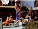 The Cardigans - Lovefool Vinyl UK 7