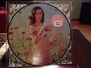Katy Perry - Prism - Picture Double Disc VINYL - Promo RARE