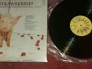 THE DAMNED STRAWBERRIES RARE BRAZIL PRESS