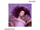 KATE BUSH HOUNDS OF LOVE ORIGINAL VINYL FIRST PRESS 'TOWNHOUSE' LP 1985