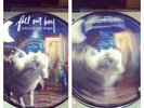Fall Out Boy Infinity On High Vinyl Picture Disc