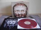 ACROSTICHON: Engraved In Black * Ltd. 100 RED vinyl  * Asphyx Eternal Pentacle
