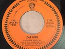 GARAGE PSYCH The Collectors FAT BIRD Warner Bros 45 very rare killer Canadian