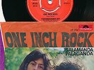 Tyrannosaurus Rex - One inch rock  7