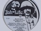BARRINGTON LEVY Black Roses JAH LIFE 12
