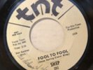 SHEP fool to fool / I'm sittin in 45 on TNT --- northern soul --- VG++