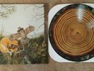 The Dandy Warhols   This Machine Vinyl Picture Disc Limited Edition NM Unplayed