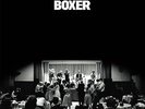 Boxer - NATIONAL THE [LP]