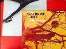 Wishbone Ash, Pilgrimage AND Self Titled BOTH NM/NM and FREE SHIPPING