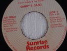 SANDY’S GANG: Hungry PATRICK ADAMS Sunrise 70s Soul Disco Funk NM- 45