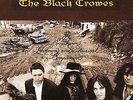 The Southern Harmony And Musical Companion 2 LP Vinyl Black Crowes (2015) New