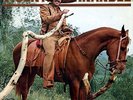 VICENTE FERNANDEZ LP TEMAS DE JUAN GABRIEL NO EDITADOS EN MEXICO ED. ESPAÑA