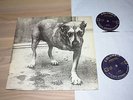 ALICE IN CHAINS 2 LP - SAME / 1995 SONY COLUMBIA RECORD PRESS in MINT