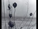 RECONDITE-PLACID (2LP+MP3)-VINYL LP (2) ACID TEST NEU