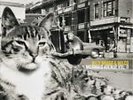 Mermaid Avenue, Vol. 2 by Wilco/Billy Bragg (Vinyl, Nov-2013, Nonesuch (USA))