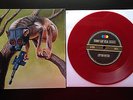 Sunny Day Real Estate / Circa Survive RSD 2014