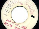DELTON SCREECHIE   JAH IS MY LIGHT   IN HIM IS NO DARNESS LISTEN