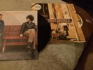 The Dandy Warhols Bohemian Like You & Get Off Vinyl Record Bundle