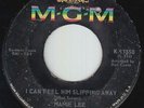 Northern Soul 45 - Mamie Lee - I Can Feel Him Slipping Away - MGM - mp3