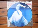 Faith No More | A small victory | 1992 | Picture Disc | SEHR GUTER ZUSTAND | sol